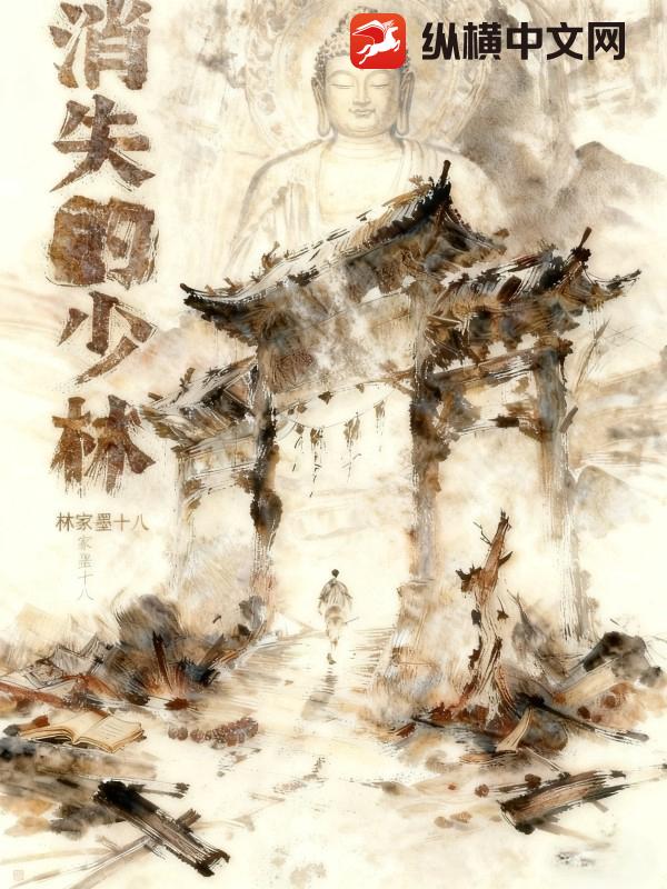 消失的少林